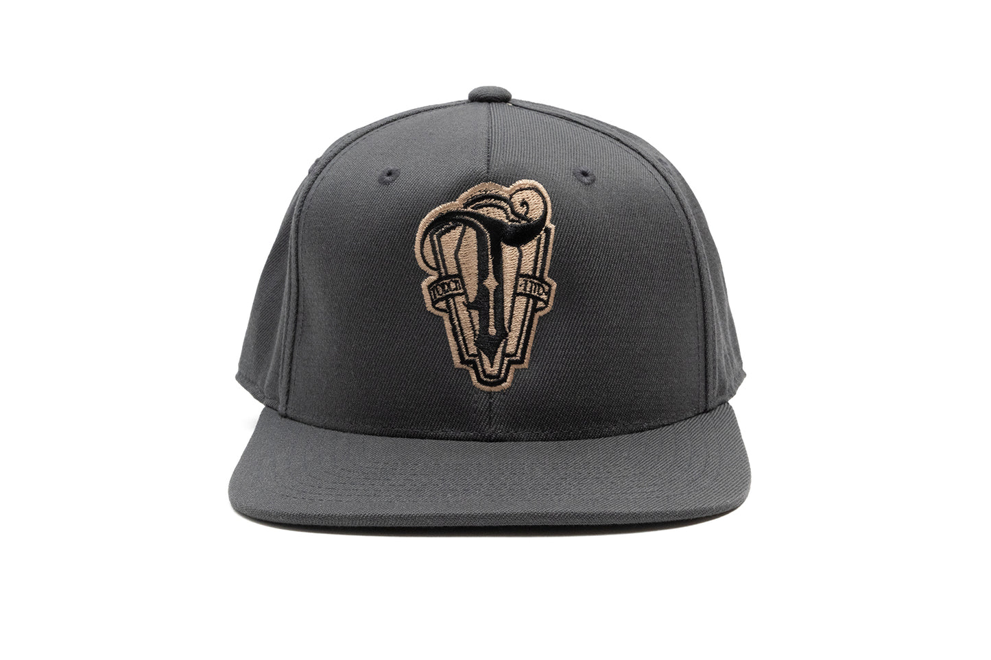 Torch Logo Hat